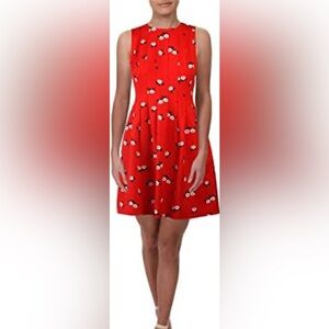Size 16w Ann Klein Dress